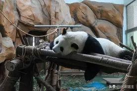 今天摔了一大跤，几乎五体投地灵魂出窍，走路看手机的你也要小心图片
