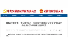 涉嫌严重违纪违法，蚌埠市纪委书记被查图片