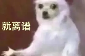又干起这个勾当！BBC“移花接木”被抓现行了……图片