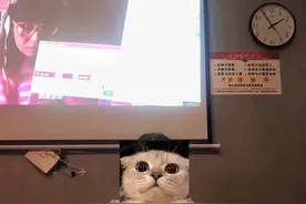 洗浴中心的女技师和我讲了她的故事……图片