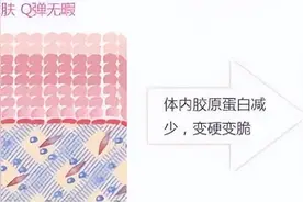 重组人源III 型胶原蛋白作用原理图片