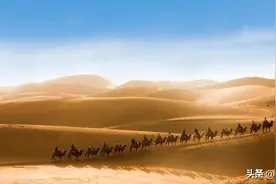 如果沙漠都变成绿洲，地球会发生什么？图片
