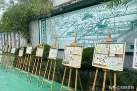 杭州市紫阳小学自然笔记课程：探寻自然奥妙图片