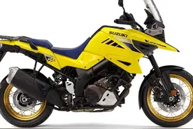 进口铃木DL1050图片