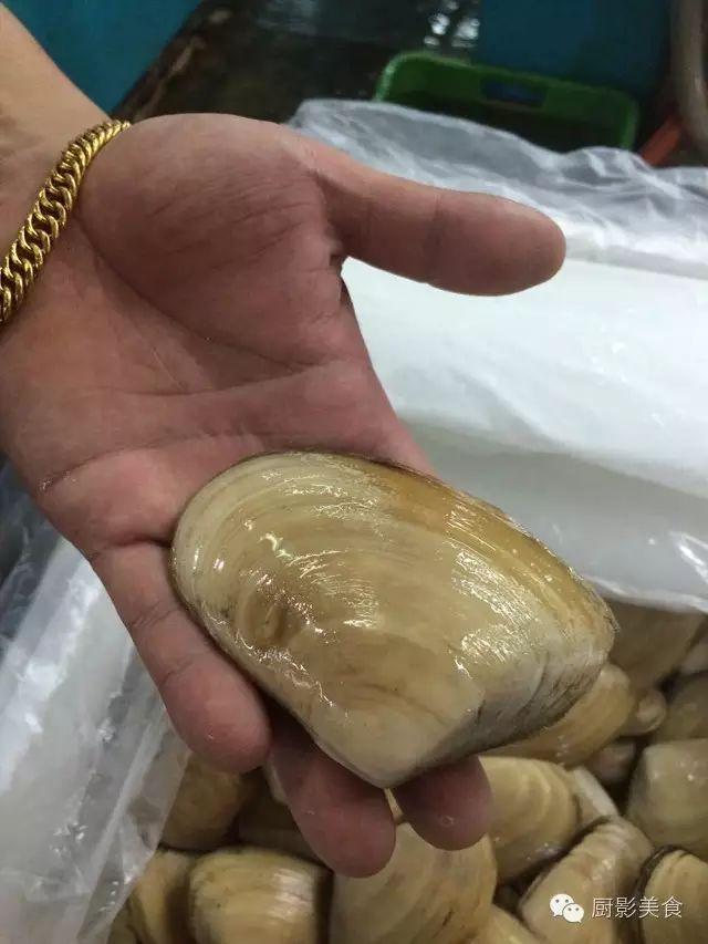 花胶选几级的 花胶等级顺序鱼胶排名大全
