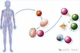 淋巴瘤能活多久？这9个因素决定了生死分界线！图片
