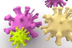微生物学中的基本概念图片