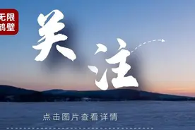 上线！鹤壁幼儿园、高中、大学等可"一键"缴费图片