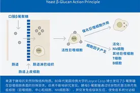 后疫情时期婴童如何提升免疫力？天然免疫元酵母β葡聚糖备受瞩目图片