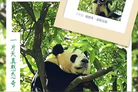 海报 | 我为家乡代言！看岳阳市民朋友圈里的诗意与“远方”图片