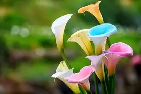 真正爱一个人，3个“忍不住”，很明显图片