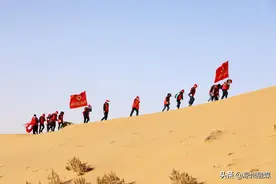 好一幅凉州沙漠春景图！图片
