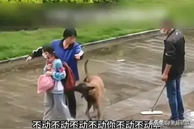 保洁阿姨用身体挡狂犬，女孩被困1小时，狗主人竟然笑嘻嘻图片