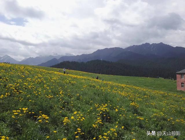 一万泉美景