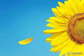 从这三个故事，读懂招商银行的“价值观高于KPI”图片