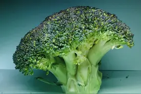 西蓝花减肥靠谱吗？蔬菜之王西蓝花营养价值高在哪儿？热量高吗？图片