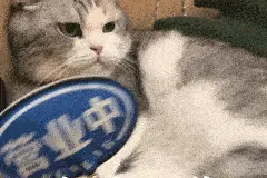 部分大专可报！湛江新一批344个就业见习岗位来了→图片