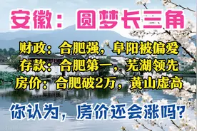 安徽1月报：合肥存款2万亿，马鞍山最猛，池州很穷，8城房价下跌图片