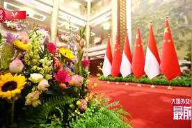 康辉@大国外交最前线丨习近平主席与佐科总统会谈进行中 这三点值得期待图片