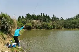 广东矿坑出现入侵“怪鱼”，水库几乎与外界江河隔绝，鱼从哪来？图片