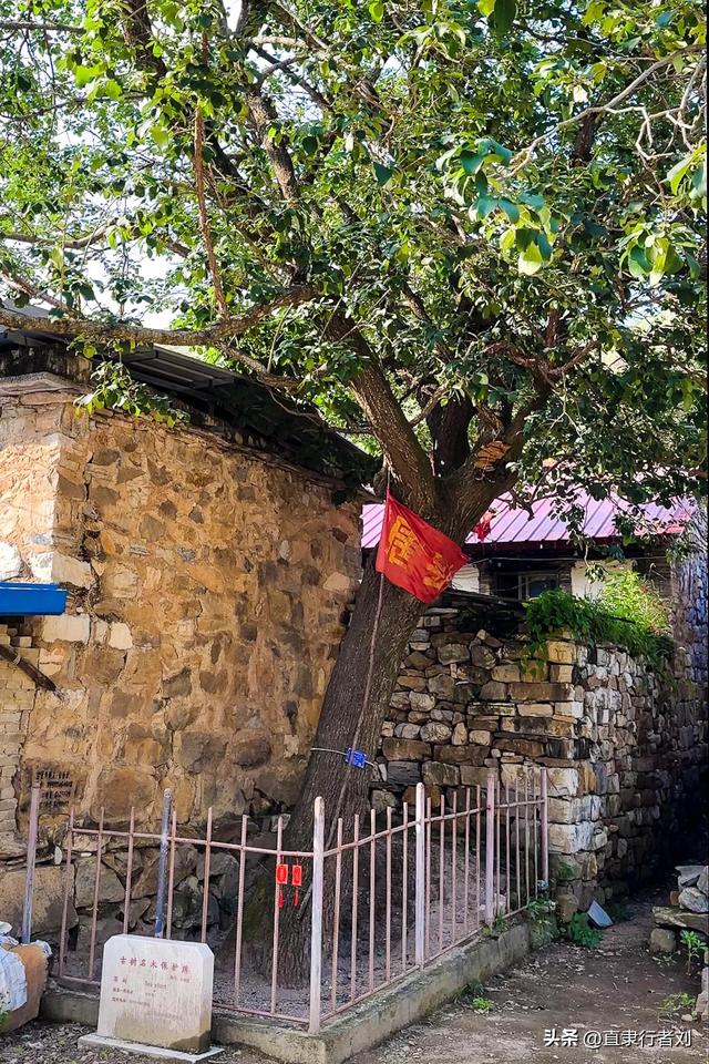 朋友携家人开车四小时去山西悬空寺却败兴而归，于是带他们来这儿