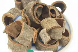 中药古今研究：厚朴图片