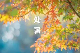 今日处暑，抓紧吃这瓜，对抗秋燥，家人不上火，营养足身体棒图片