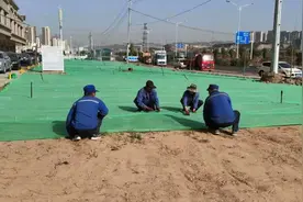 兰州市城关区雁东社区：“红先锋”助力绿化改造 小区前绿化带“换新颜”图片