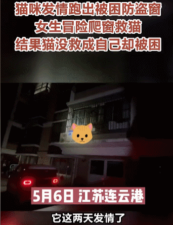 买到一盒肯德基猫爪蛋挞,我当场气死