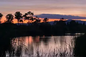 《意志力》：颠覆认知，高手的策略竟是：结果自律图片