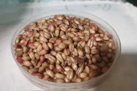 在流水的河里做窝，能做到定点准确，窝料不被冲走，方法很简单图片