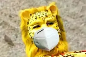 金钱豹是什么梗？为什么这么火？图片