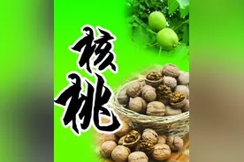 核桃的功效及正确吃法图片