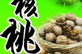 核桃的功效及正确吃法图片