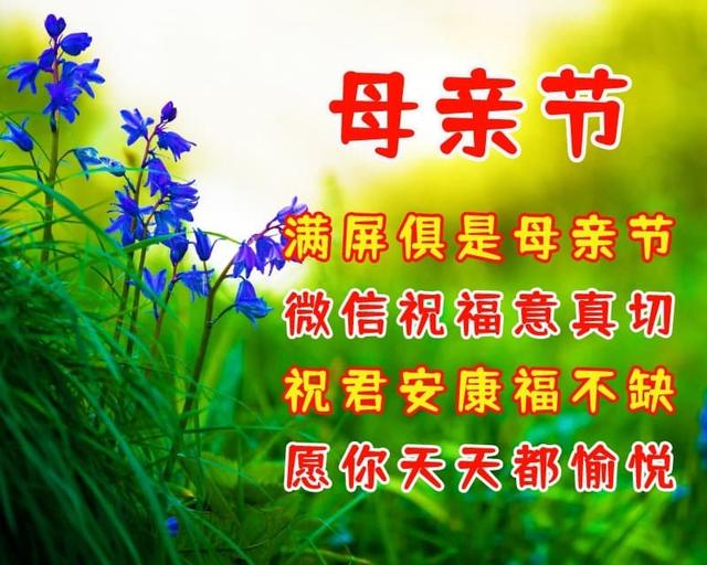 最优美的母亲节祝福语,祝天下母亲幸福快乐