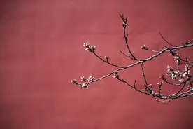 “黑兔逢双春，五人要躲春”，即将立春，这五人要小心！图片