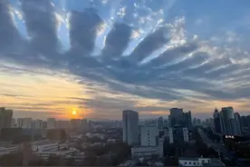 刚刚！石家庄天空惊现“羊排云”，太壮观！你看到了吗？图片