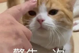 发给臭宝的表情包图片
