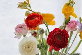 生活有了朋友，才值得回忆；生命有了缘分，才懂得珍惜。图片