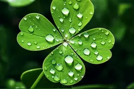 元代水平最高的九首诗词，意境优美，动人心魄，不逊唐诗宋词图片