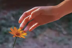 半生已过，写给不再年轻的自己！（心酸）图片