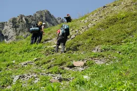 清明登山，如何避免膝关节受损？图片