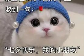 七夕节表情包｜有人看海，有人相爱，有人孤寡到现在图片