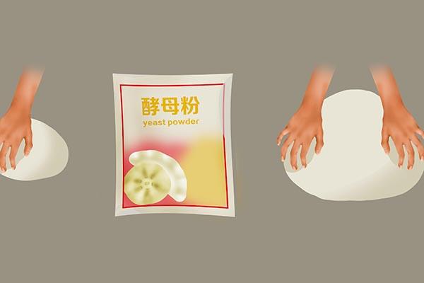 假丝酵母菌有什么危害（酵母致癌是真是假常吃面食的人）