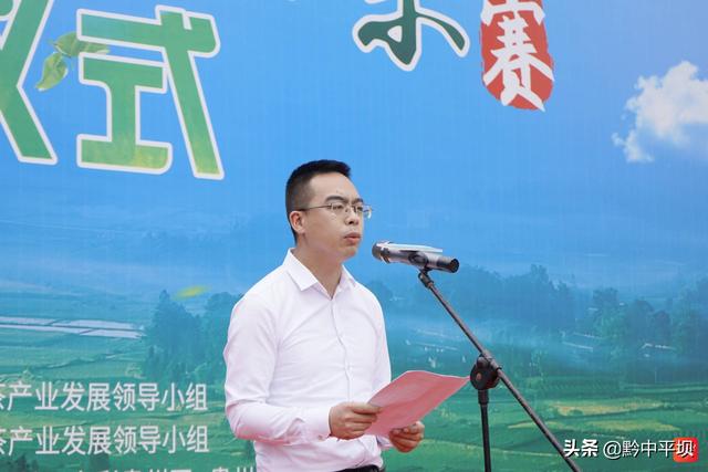 2022年贵州春季斗茶赛的含金量如何？精彩点评在此