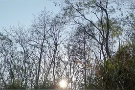 世外桃源图片