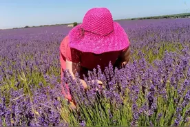 我在国外干保姆：在第一个雇主家一干就是14年图片