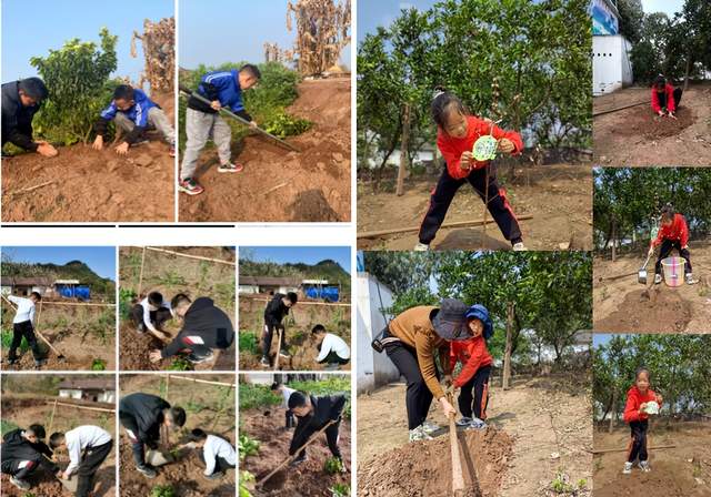 四川省民生研究会新媒体中心-官网