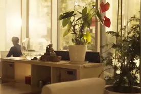 《三体》电视剧结局你看懂了吗~最后镜头咖啡厅神秘蓝衣人是谁？图片