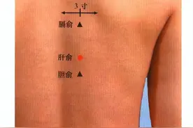 足太阳膀胱经经穴——肝俞穴图片